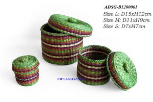 ADSG B12000061