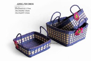 ADSG FB1200036