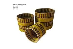 ADSG FB120113